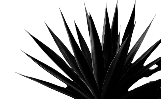 Decoration